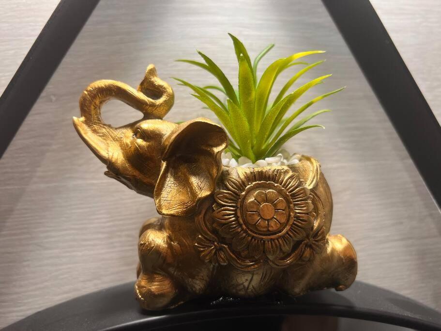Top Loft Perles 4 Des Chateaux Mer 외부 사진